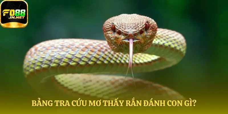 Bảng tra số may mắn tham khảo mơ thấy rắn đánh con gì ngon