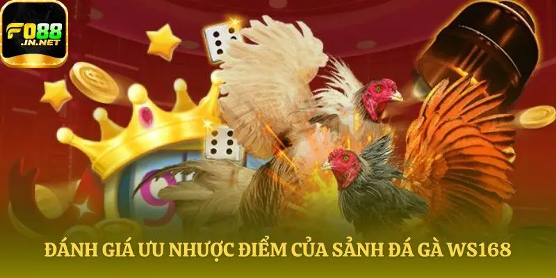 So sánh ưu thế và bất lợi của sảnh đá gà