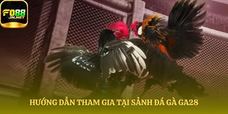 Quy trình đặt tiền tại sảnh Đá gà GA28