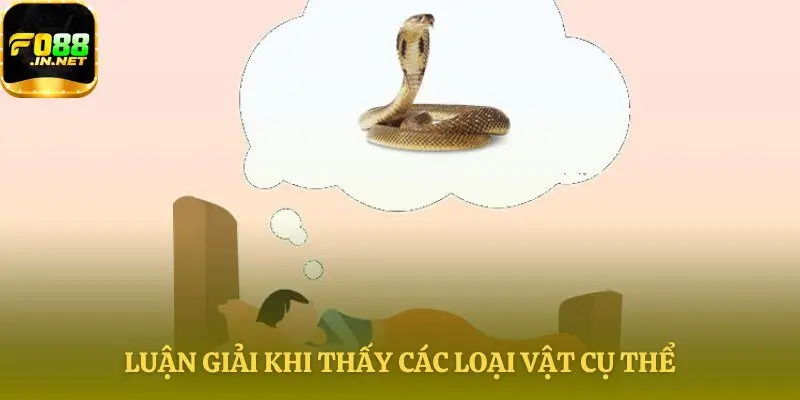 Luận giải điềm báo theo từng loài rắn cụ thể