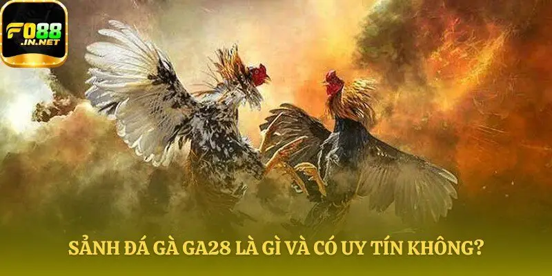 Đánh giá uy tín nền tảng Đá gà GA28